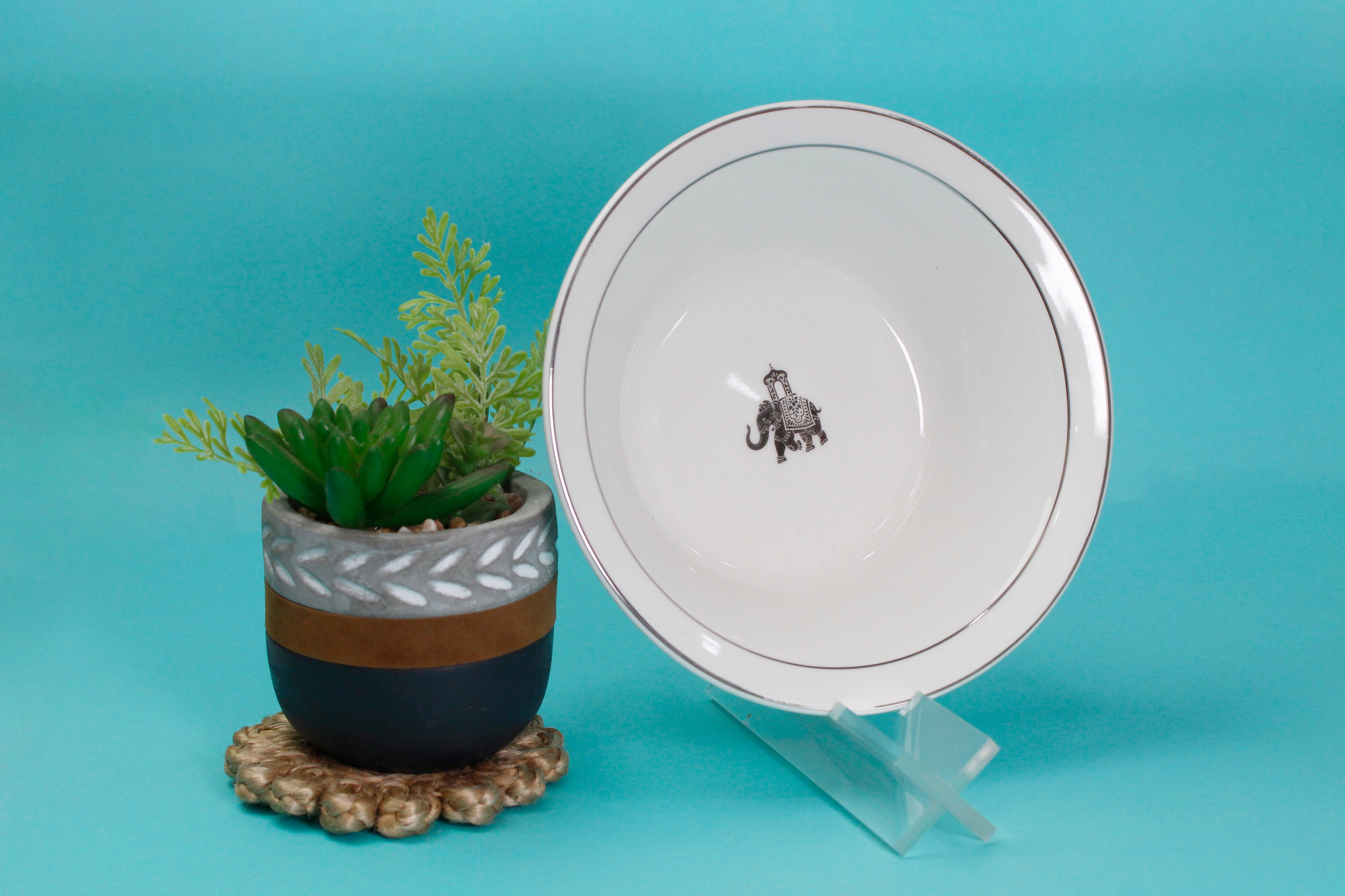 Gaj Pasta & Salad bowl combo with salt & pepper