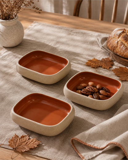 Earthen Soul Recta Set | 3 Rectangle Bowls | Earth Porcelain